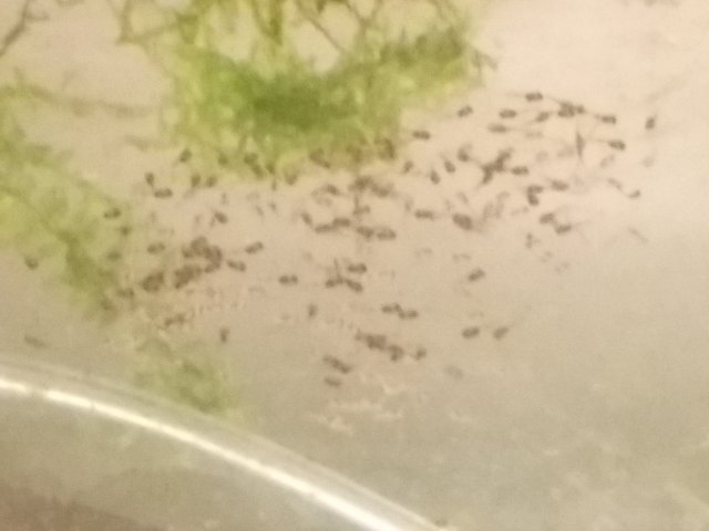 20160323_131039.jpg