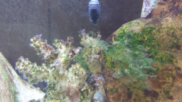 20160323_171235.jpg 20160323_171235.jpg