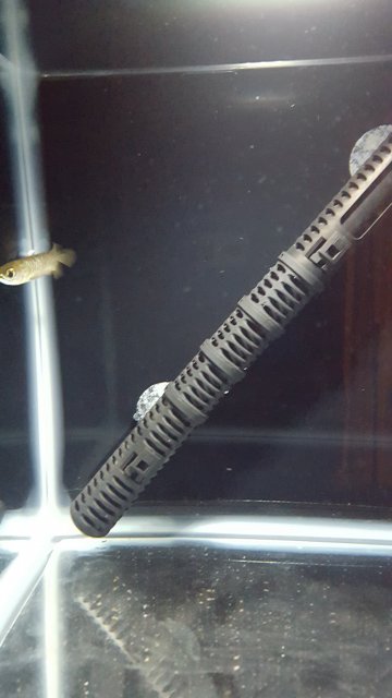 20160324_063826.jpg 20160324_063826.jpg