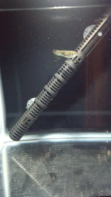20160324_063835.jpg 20160324_063835.jpg