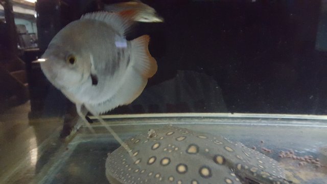20160212_234101.jpg