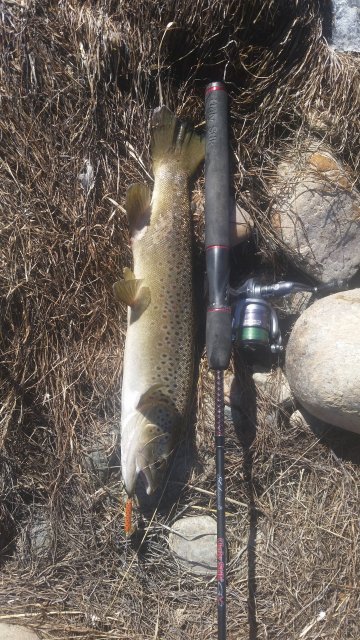 20160224_134348.jpg