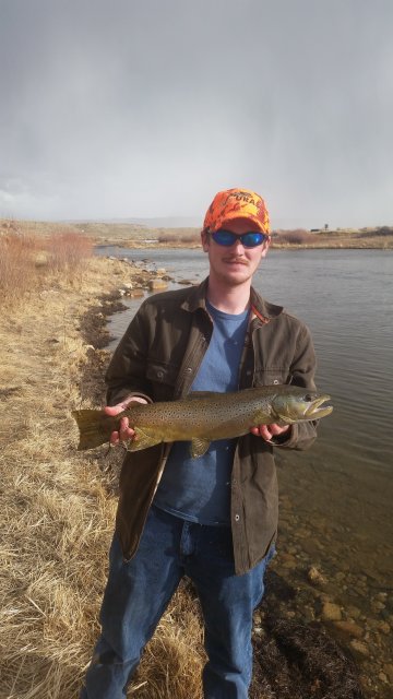 20160222_151745.jpg