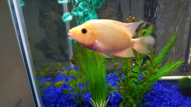 20160326_004532.jpg
