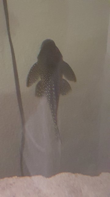 20160222_214219.jpg
