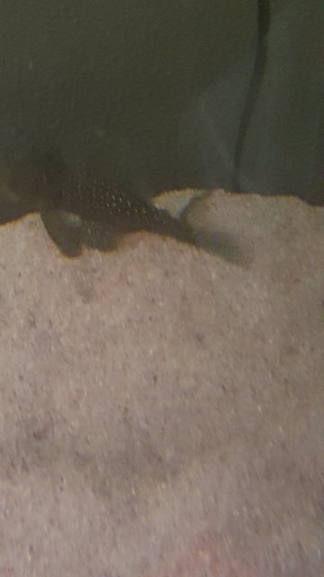 20160222_214215.jpg