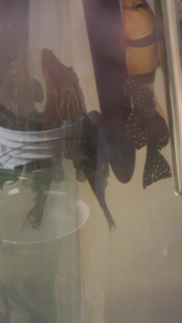 20160222_214204.jpg