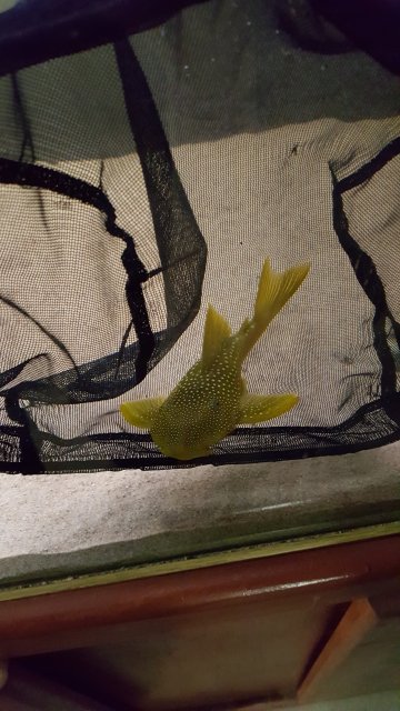 20160218_184319.jpg