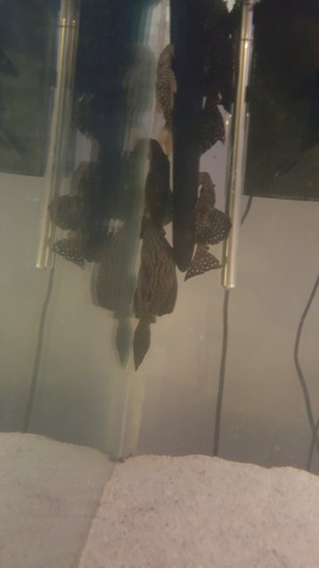 20160217_214912.jpg