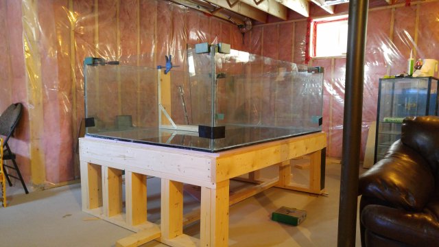 20160326_164542.jpg
