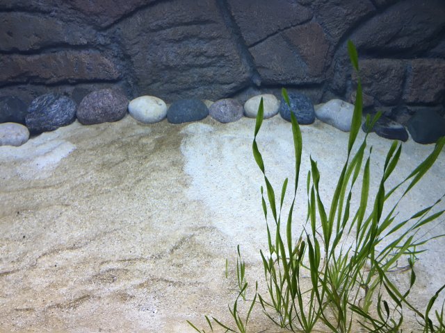 IMG_3565.JPG IMG_3565.JPG