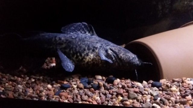 20160226_224252.jpg