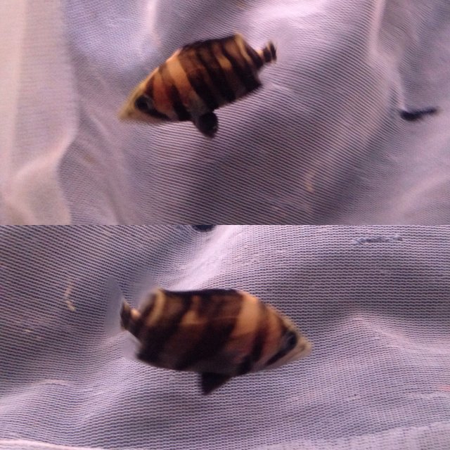 IMG_7478.JPG IMG_7478.JPG