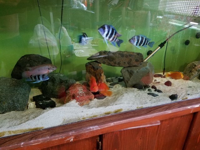 20160327_092312.jpg