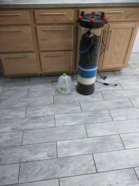 IMG_20160330_200741.jpg