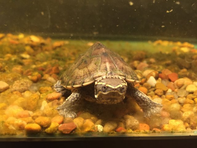 image.jpeg image.jpeg