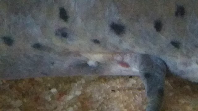 20160331_083309.jpg