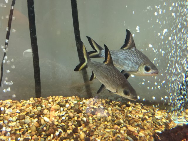 2016-03-19 16.00.04.jpg 2016-03-19 16.00.04.jpg