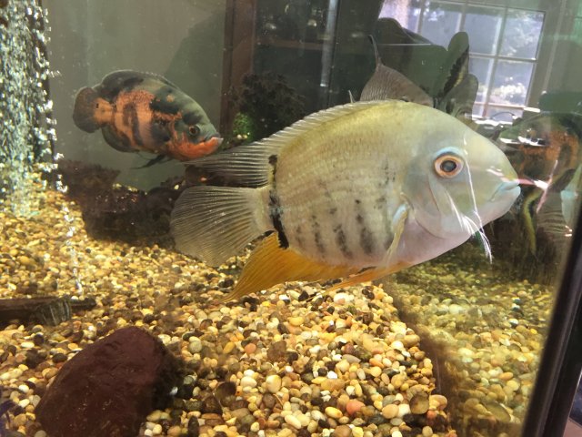 2016-03-19 16.02.08.jpg 2016-03-19 16.02.08.jpg