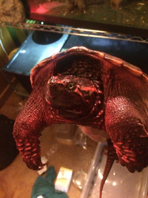 IMG_1370.jpg IMG_1370.jpg