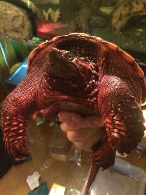 IMG_1369.jpg IMG_1369.jpg