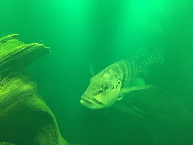 IMG_7928.JPG IMG_7928.JPG