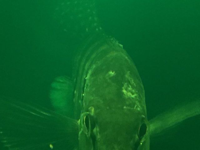 IMG_7929.JPG IMG_7929.JPG