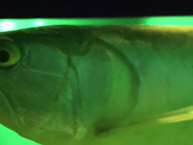 IMG_7933.JPG IMG_7933.JPG