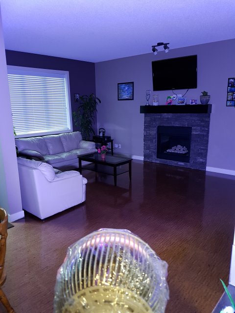 20160331_194514.jpg