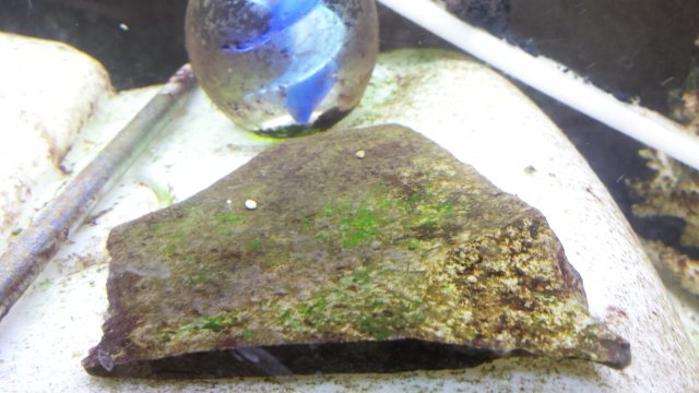 20160401_163409.jpg