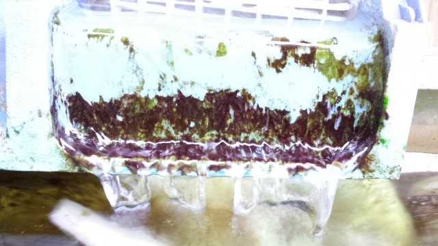 20160401_164644.jpg