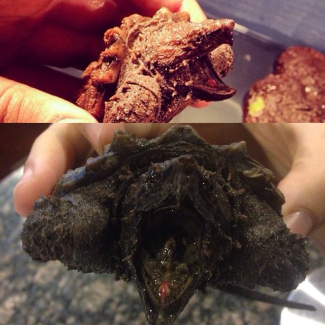 image.jpeg image.jpeg