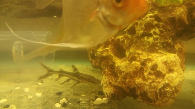 20160221_204419.jpg