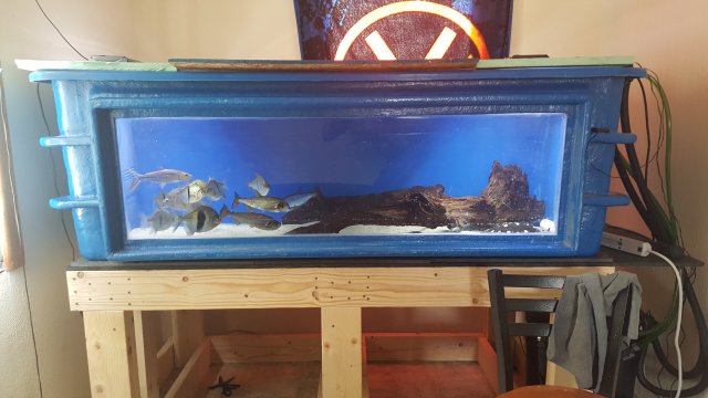20160403_164814.jpg