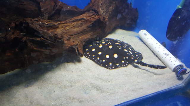20160403_164844.jpg