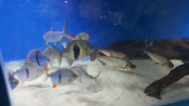 20160403_164903.jpg