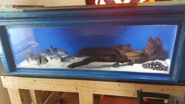 20160403_164800.jpg