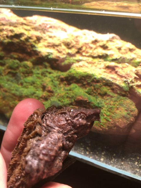 image.jpeg image.jpeg