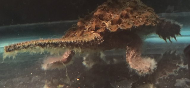 image.jpeg image.jpeg