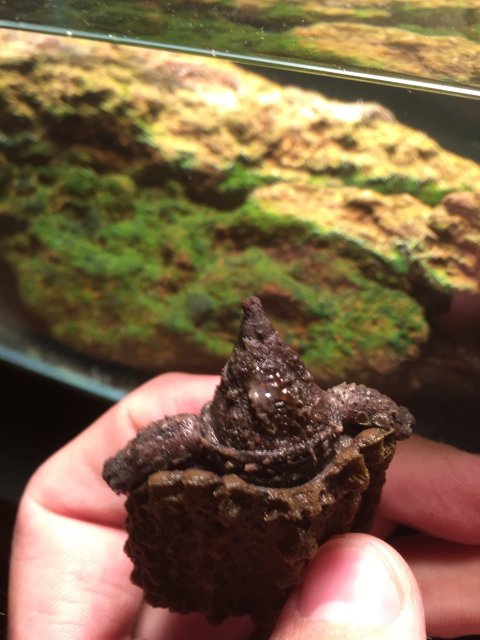 image.jpeg image.jpeg