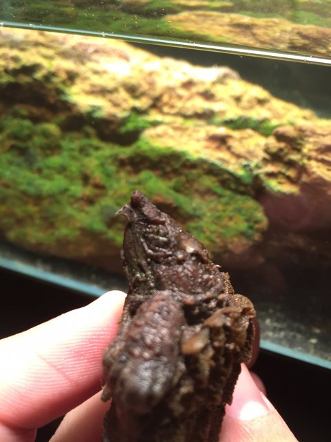 image.jpeg image.jpeg