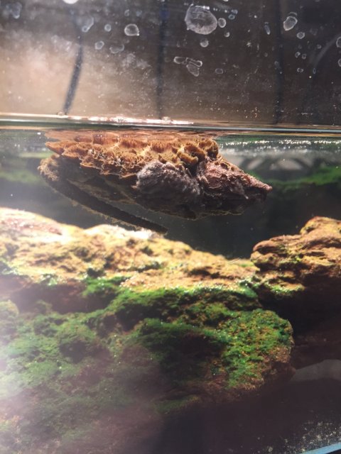 image.jpeg image.jpeg