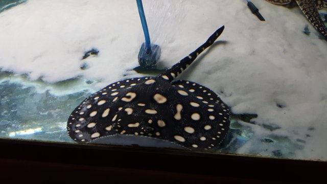 20160402_230042_001.jpg