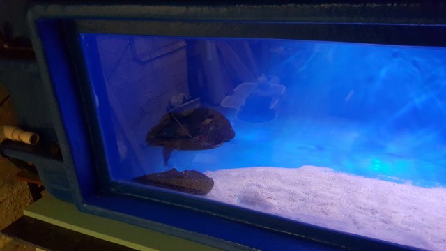 20160405_192604.jpg