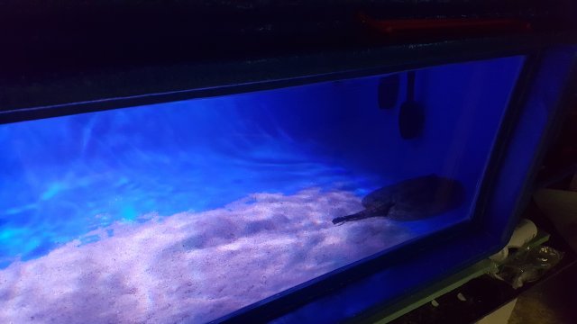 20160405_192609.jpg