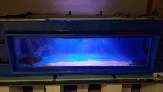 20160405_192625.jpg