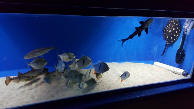 20160405_215524.jpg