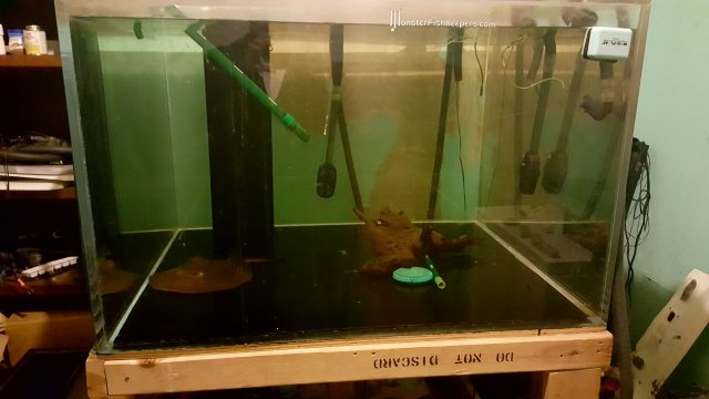20160405_235343.jpg