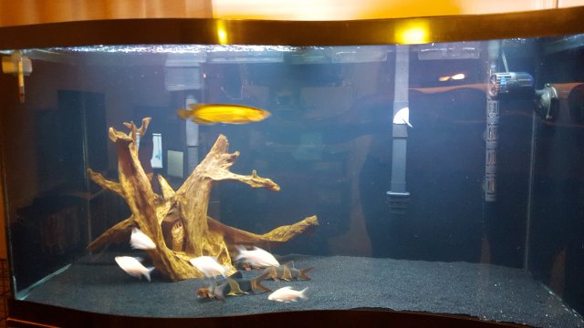 20160322_221524.jpg