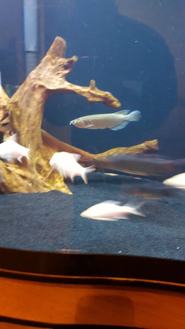20160323_155742.jpg